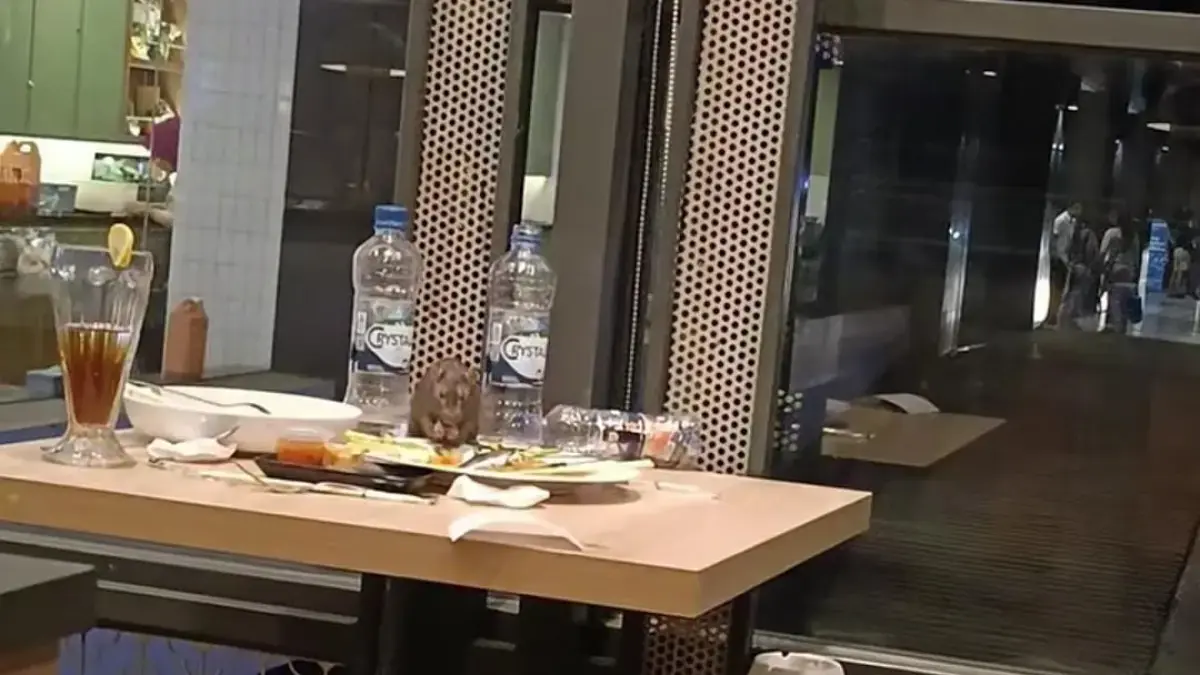 Viral! Tikus Asik Makan di Meja Solaria, Netizen Minta Manajemen Berbenah