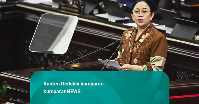 Puan: Infrastruktur Kesehatan di Kalteng Harus Diperkuat Tangani Dampak Karhutla