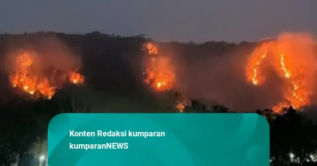 106 Karhutla Gunungkidul Sepanjang 2026, Diduga Dipicu Pembakaran Lahan
