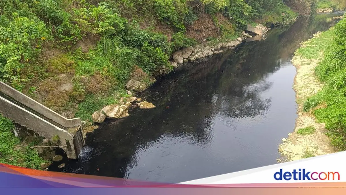 Bupati Bogor Inventarisasi Saluran Pabrik yang Diduga Cemari Sungai Cileungsi