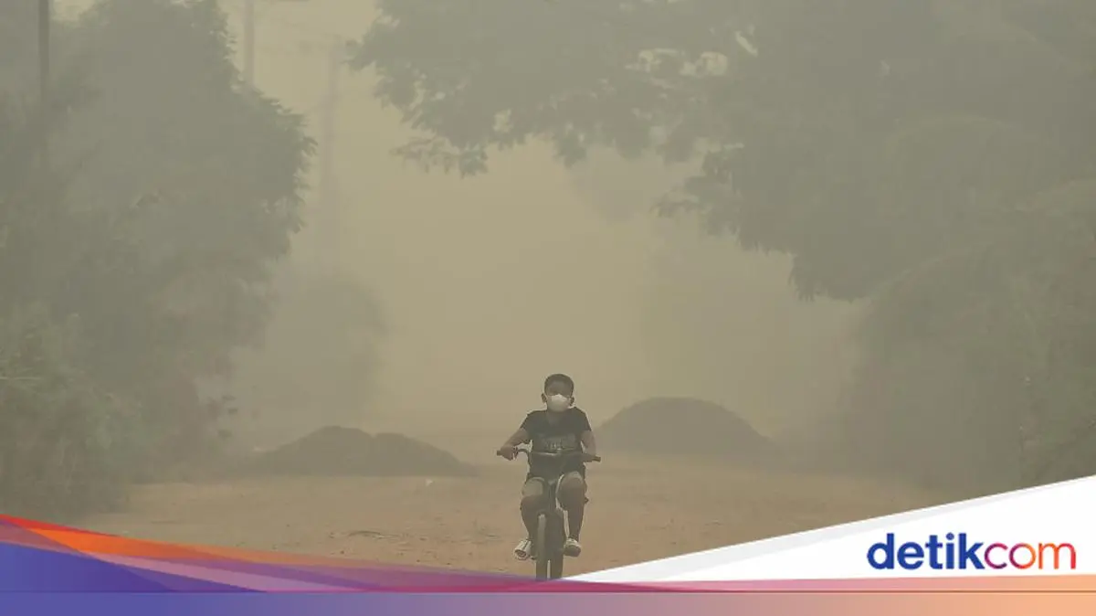 Muhammadiyah: Karhutla Tak Boleh Dinormalisasi Jadi Bencana Tahunan