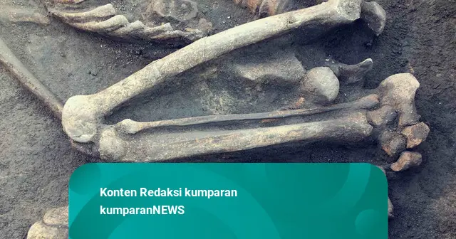 Geger Kerangka Manusia Ditemukan di Hutan Tahura Pesawaran, Lampung: Berkaus Lambang Tunas Kelapa