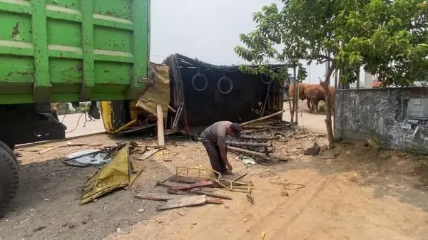 Kecelakaan Beruntun di Jombang, Bus Ngebut di Jalur Berlawanan Tabrak Truk Sapi lalu Kabur