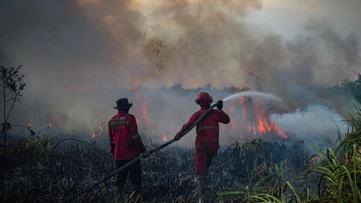 Izin 6 Perusahaan Kembali Dibekukan Buntut Karhutla, Ini Daftarnya