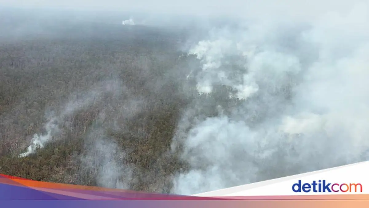 BNPB Kerahkan Heli Water Bombing Padamkan Karhutla Way Kambas Lampung