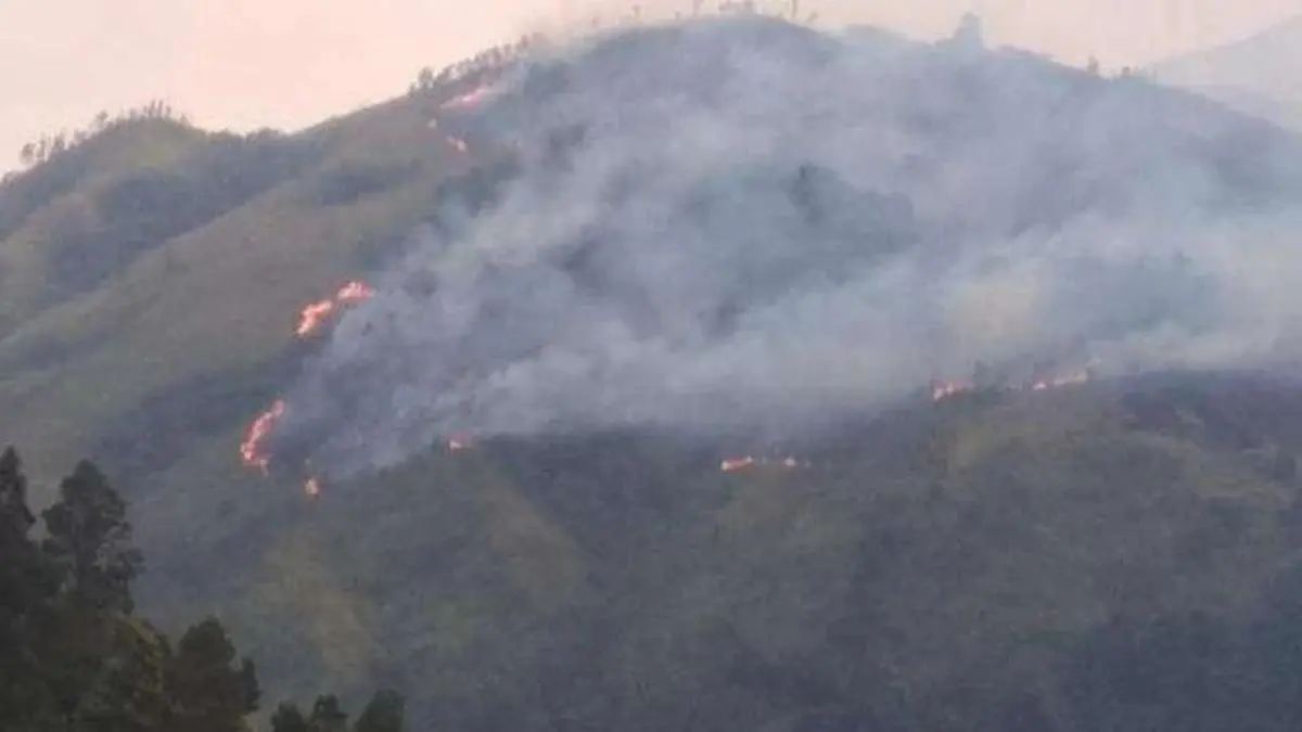 Kebakaran Hutan Arjuno-Ringgit Meluas, Api Mendekati Permukiman Warga