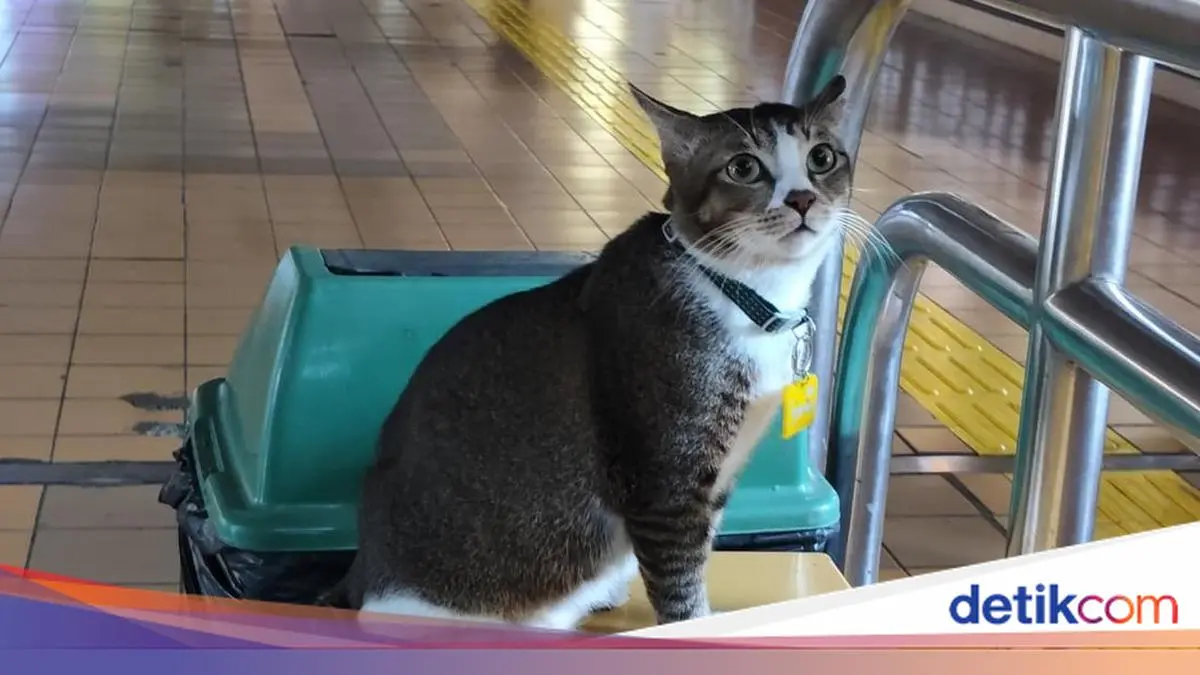 Perkenalkan, Ini Sopian Si Selebcing Viral di Stasiun Gondangdia