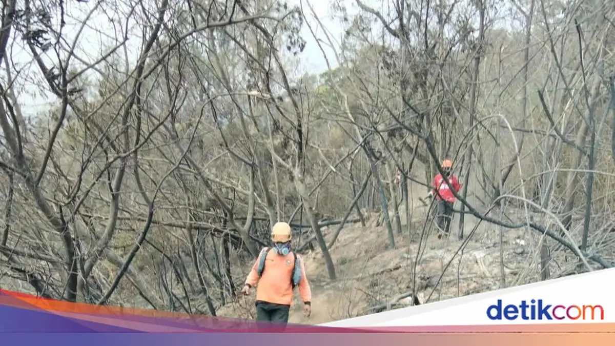 Pemprov Jateng Intensifkan Pemadaman Karhutla Gunung Lawu dan Sumbing