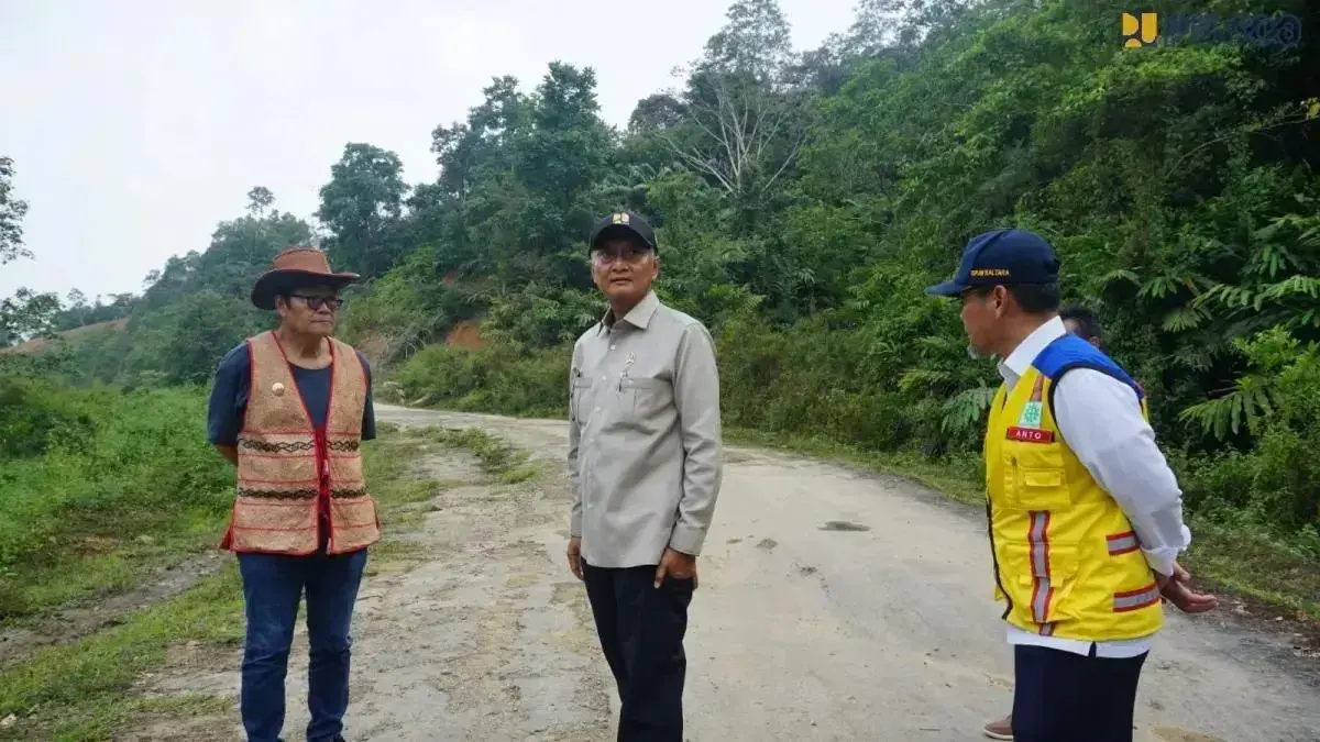 Penggarapan Jalan Indonesia-Malaysia di Kalimantan Dikebut, Ditargetkan Selesai 2028