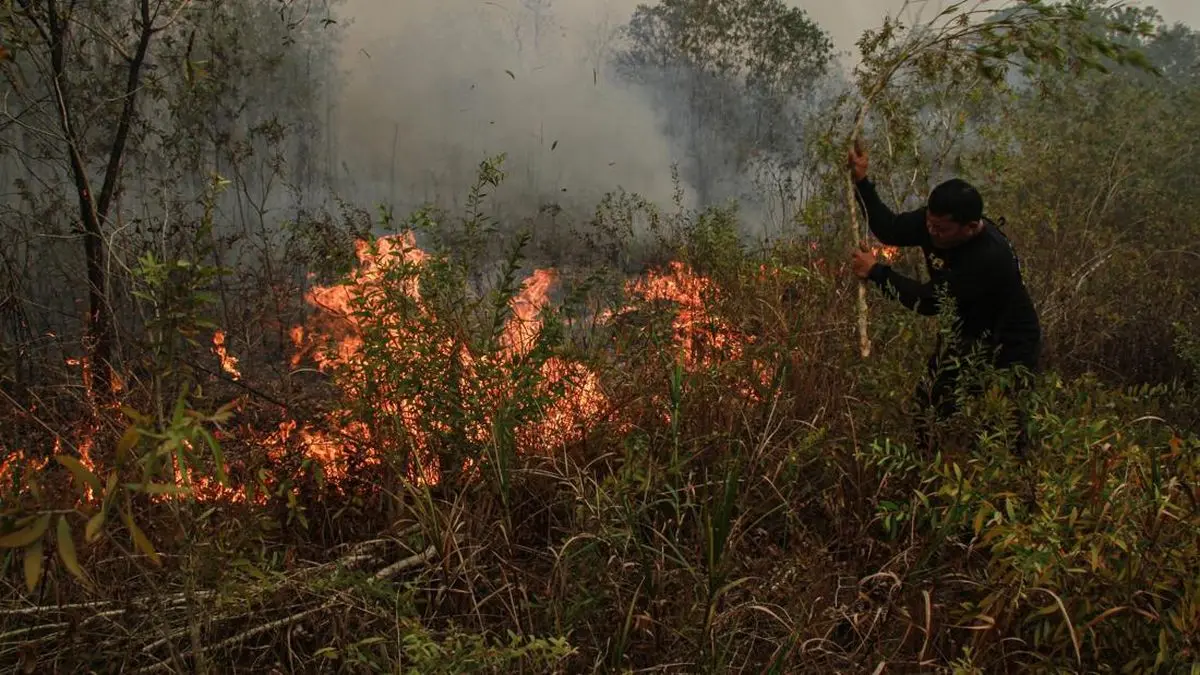22 Hari Karhutla di Kawasan Karst Pangkep, Api Belum Padam
