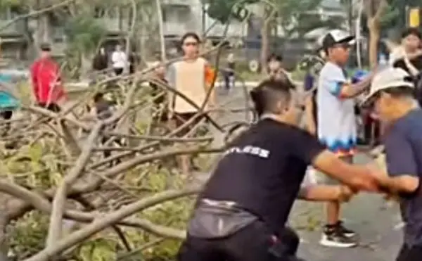 Viral Pohon Tumbang di Summarecon Bekasi, 2 Orang Tertimpa