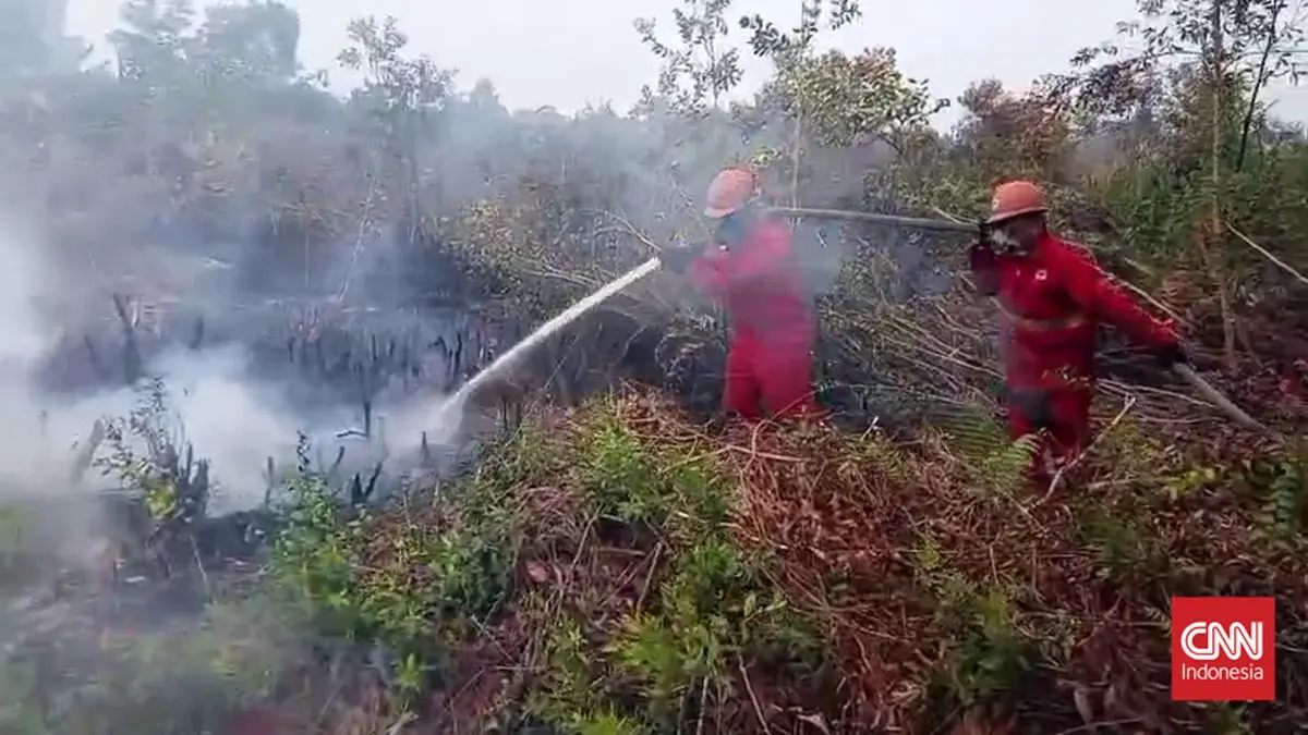 37 Titik Api Masih Menyala di Ogan Komering Ilir, 8 Kecamatan Mengepul