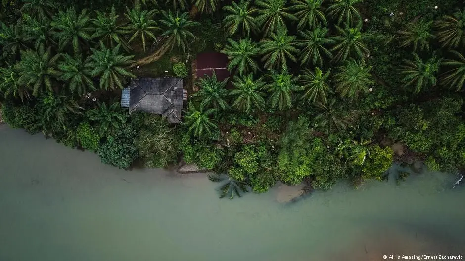 Bahlil Bakal Tertibkan Perusahaan Asing yang Menambang Namun Berizin Perkebunan Sawit