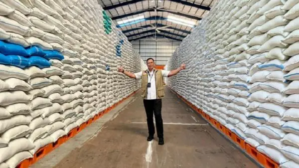 BULOG Kuasai 4,5 Juta Ton, Cadangan Beras Pemerintah Indonesia Unggul Jauh Dibanding Sejumlah Negara Asia Tenggara