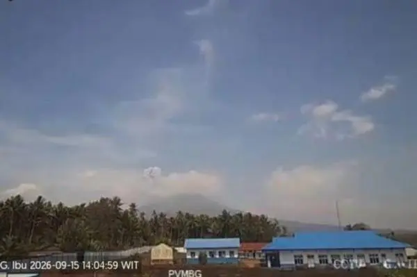 Gunung Ibu Erupsi Beruntun 4 Kali Pagi Ini, Muntahkan Abu Vulkanik 500 Meter
