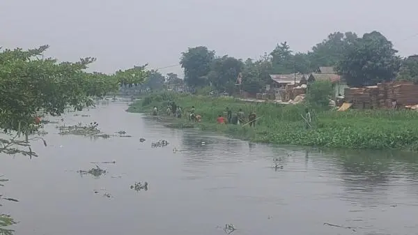 Ribuan Ikan Mengapung di Irigasi Karawang Diduga akibat Limbah, Warga Berburu dengan Serokan