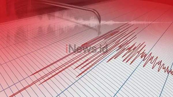 Gempa M6,3 Guncang Vanuatu, BMKG Pastikan Tak Berpotensi Tsunami di Indonesia