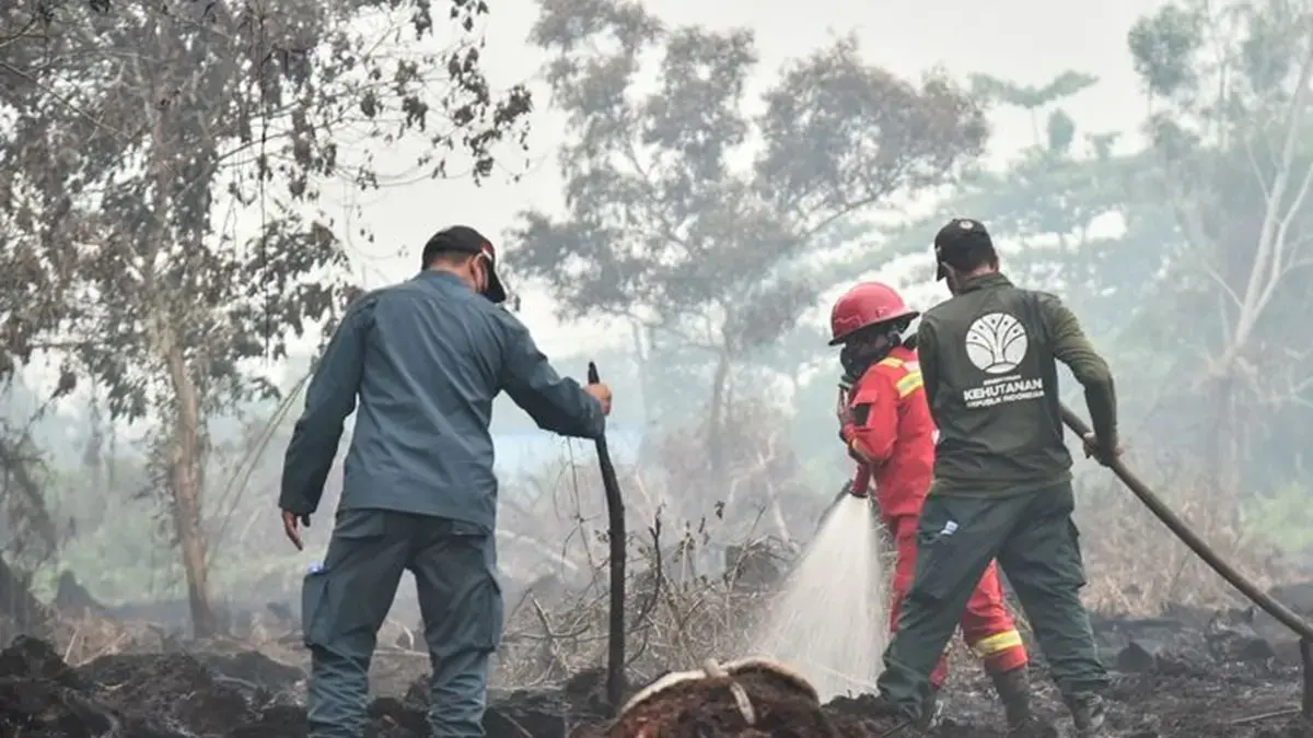 Selain El Nino, Karhutla Juga Dipicu Cara Pembukaan Lahan