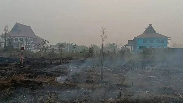 Karhutla Palangka Raya Meluas, Api Dekati Perkantoran dan Tower SUTET