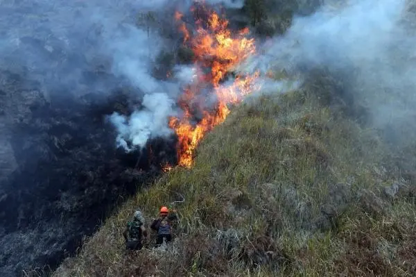 Polri Buru Pelaku Pembakaran Hutan, Penegakan Hukum Karhutla Diperketat!