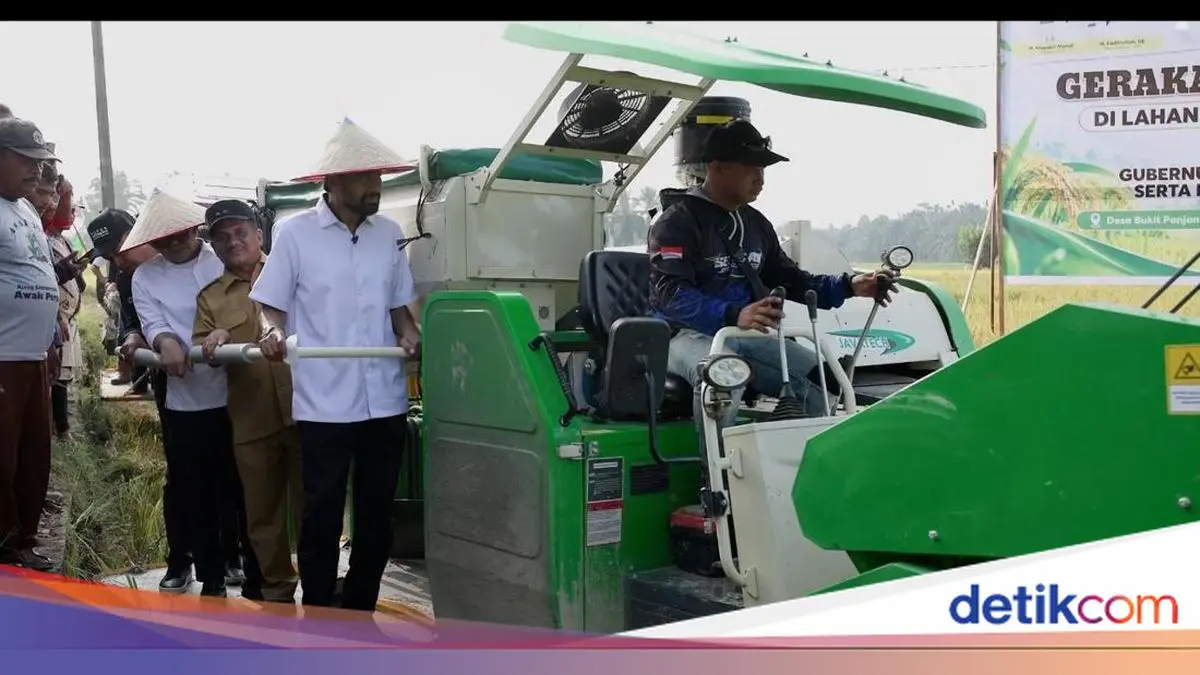 Lahan Pertanian Pulih, Petani Aceh Tamiang Kembali Panen Padi