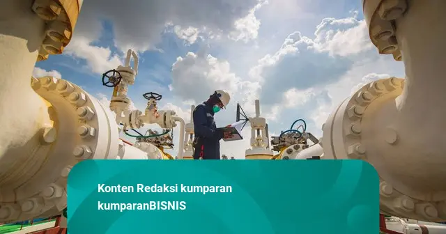 Singapura soal RI Pangkas Ekspor Gas: Dampaknya Kurang dari 2% Kebutuhan Harian