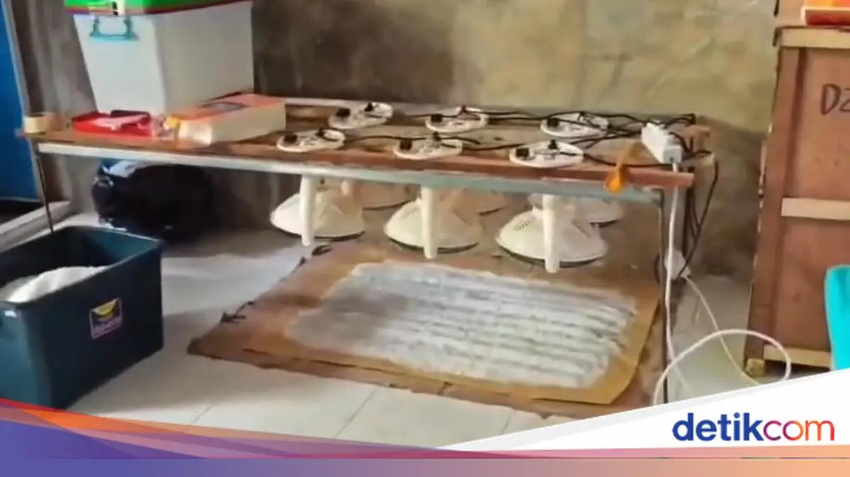 Penampakan Lab Narkoba 1,2 Ton di Pidie Aceh yang Dibongkar Polri hingga BNN