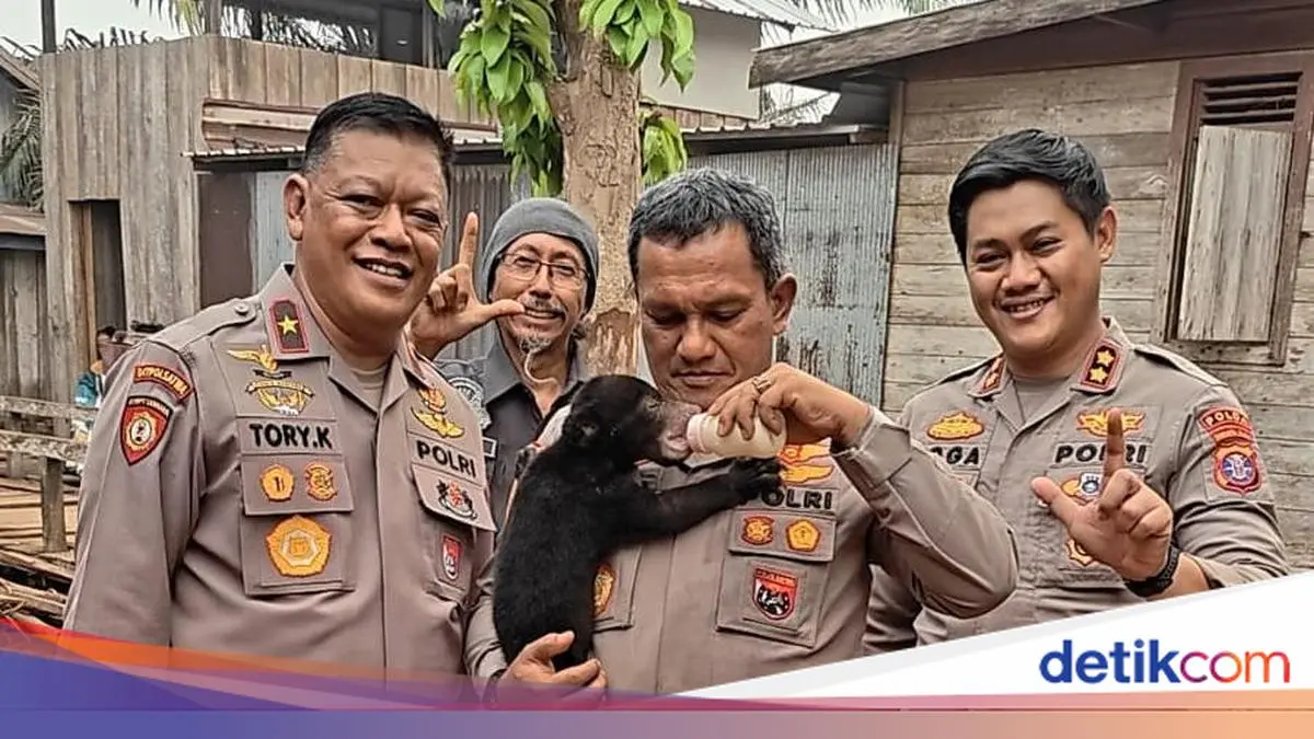 Polri Selamatkan Anak Beruang Madu dari Karhutla Kalteng