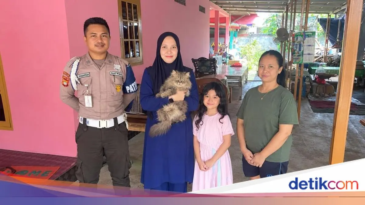 Kucing Cimi yang Hilang Usai Dibawa Abang Mi Ayam Akhirnya Ketemu