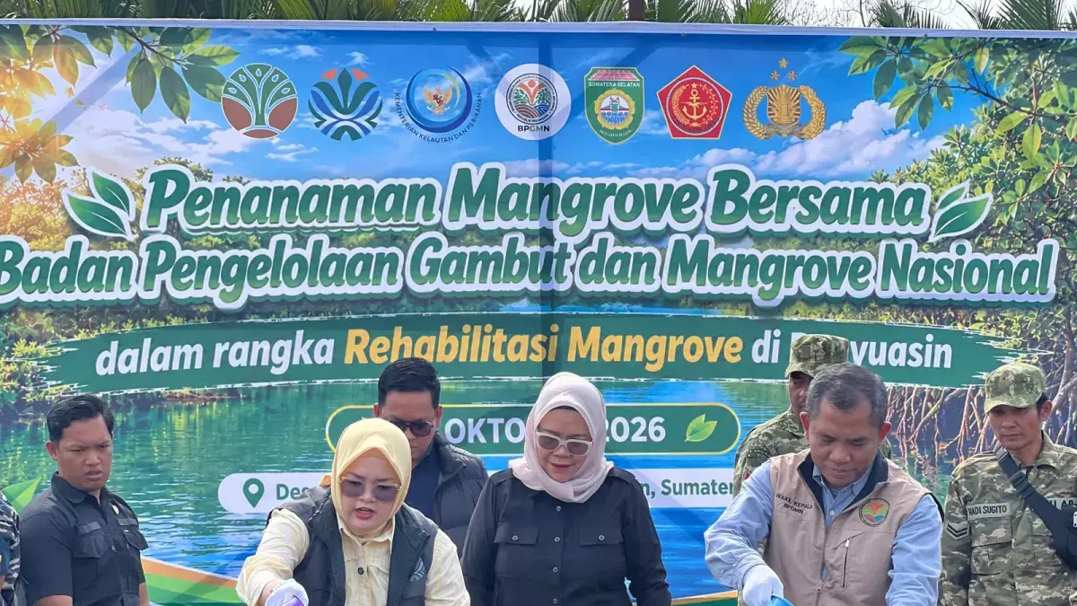 BPGMN Mulai Bergerak, Tanam Seribu Bibit Mangrove di Sungsang Banyuasin Sumsel