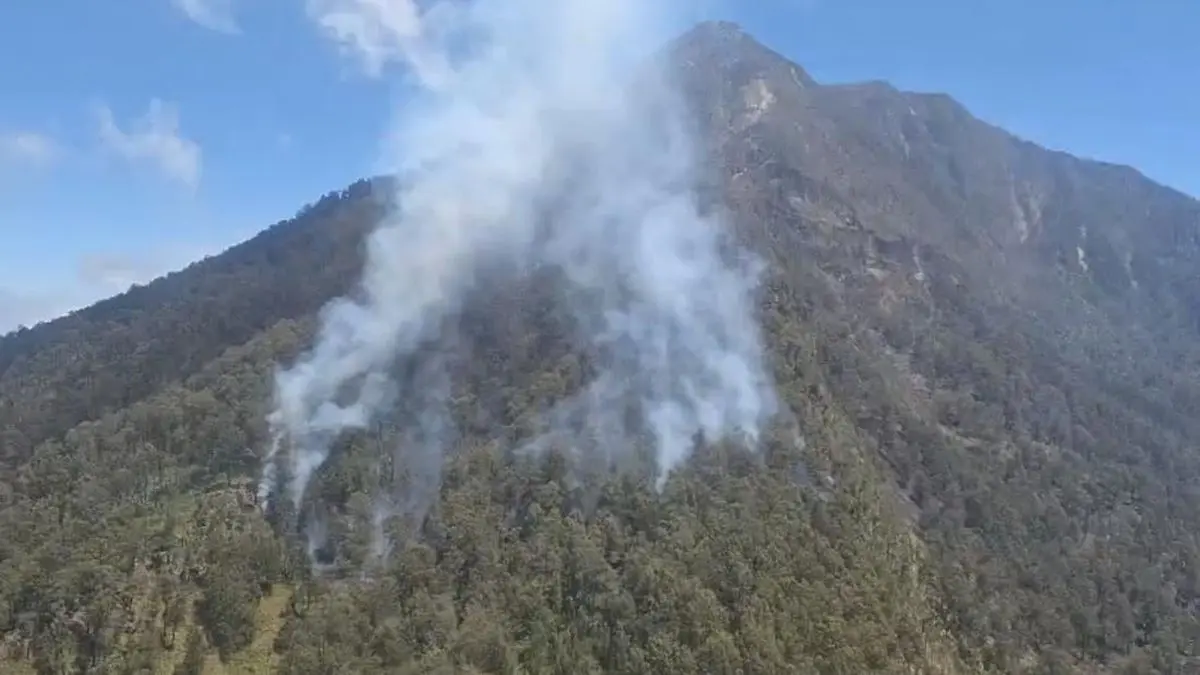 Gunung Arjuno Kembali Kebakaran