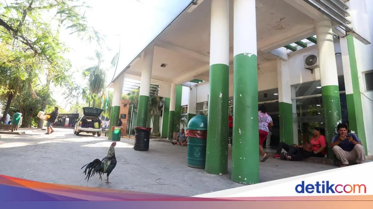Ayam Jantan Ini Sudah Bertahun-Tahun Setia Menunggu Pemiliknya di RS