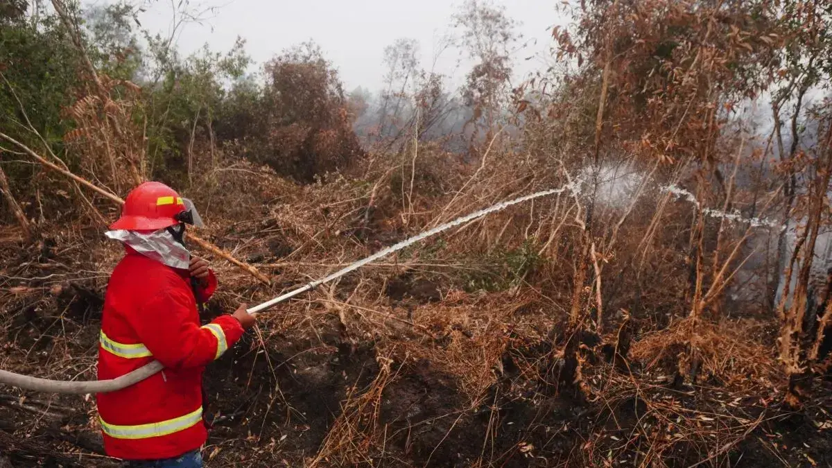 9 Korporasi Jadi Tersangka Karhutla, Sahroni Minta Izinnya Dicabut dan Direksinya Dihukum Berat