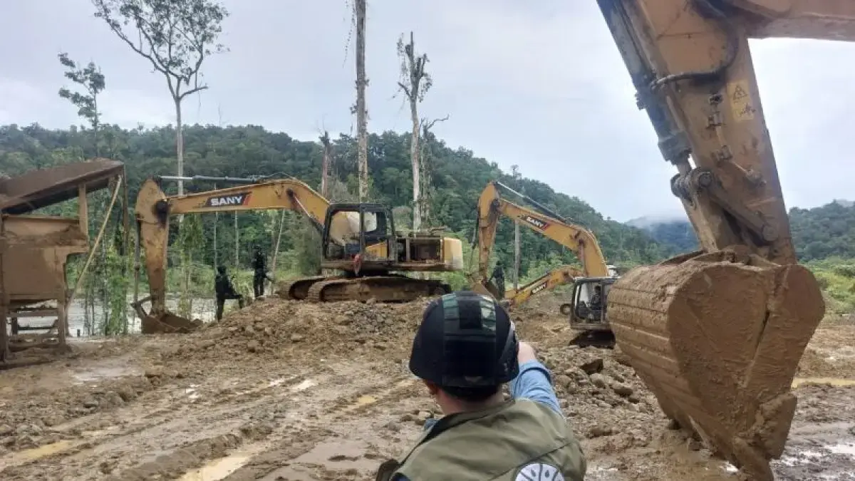 Satgas PKH Ingatkan Kawasan Hutan Terdampak Karhutla Tak Boleh Beralih Fungsi