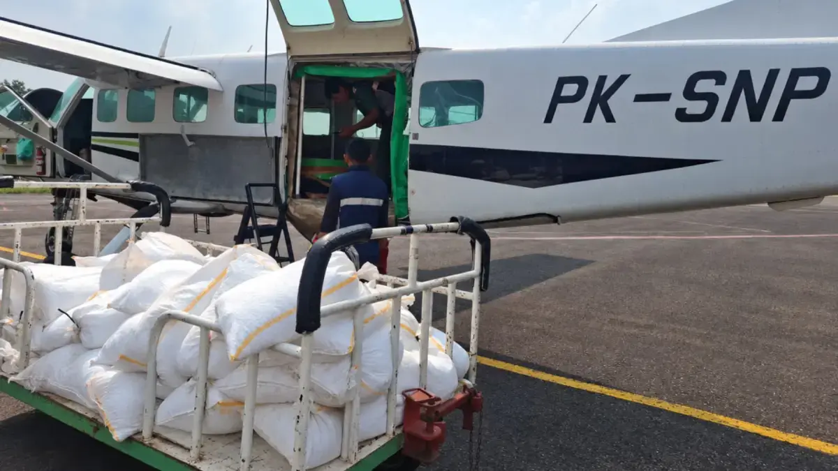 Hujan Mulai Guyur Sumatera dan Kalimantan, BNPB Maksimalkan Modifikasi Cuaca