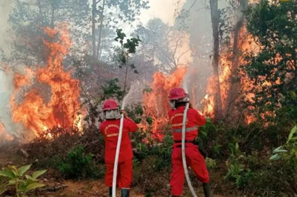 Anggota DPR Soroti Dampak Karhutla, Minta Pemerintah Pertimbangkan Status Bencana Nasional