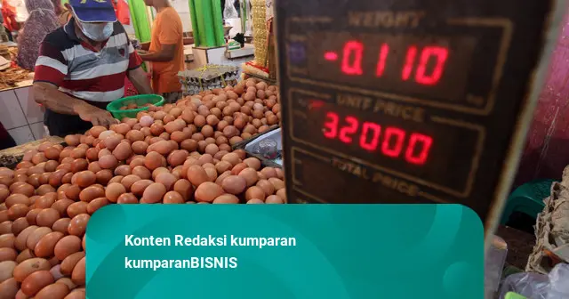 Peternak Keluhkan Harga Pakan Makin Mahal, Mendag Akan Bahas Peluang Subsidi