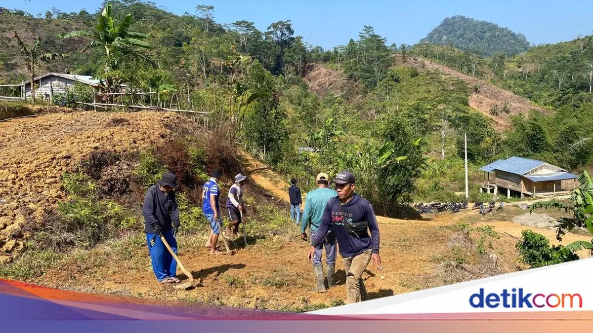 TEP UB Perbaiki Jembatan Lapuk demi Buka Akses Petani Kopi Mamasa