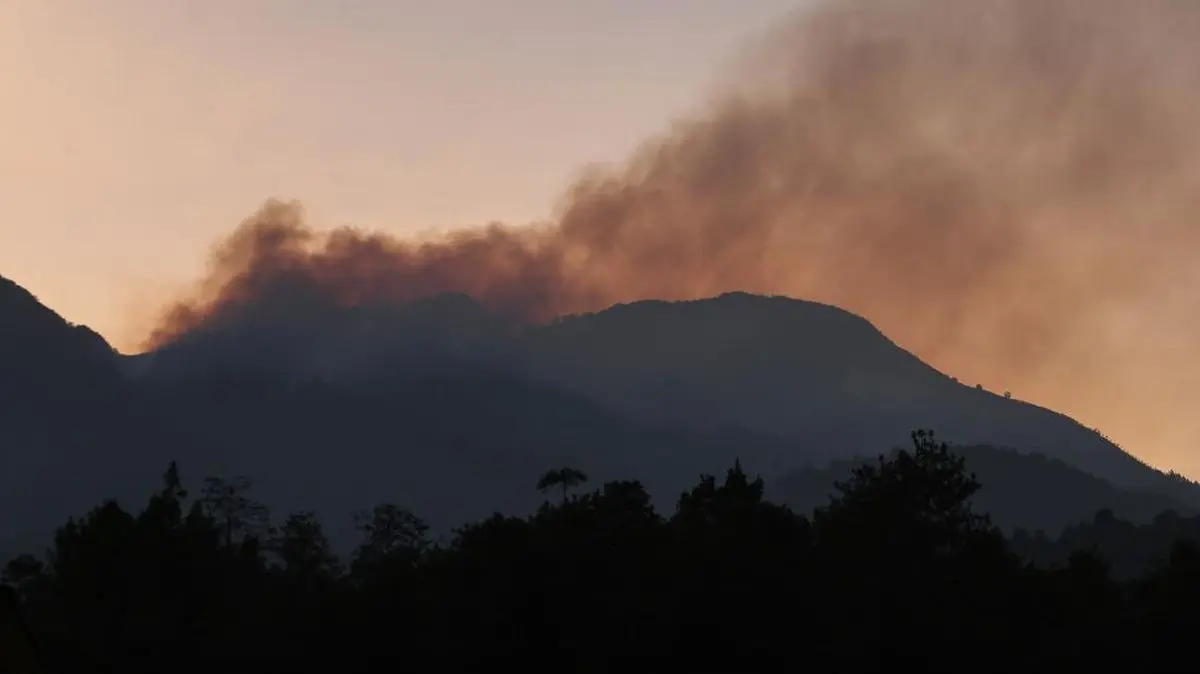 Karhutla di Lawu, Hewan Predator Turun Gunung Mangsa Ternak