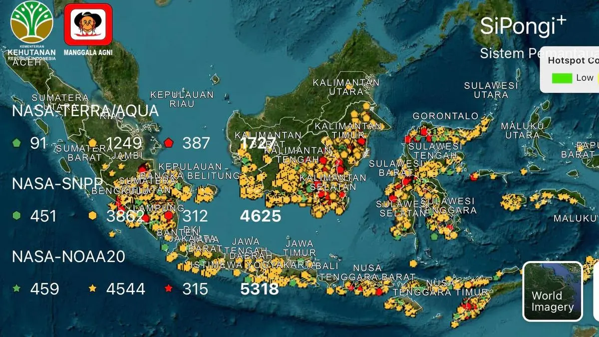 Hotspot Sumsel Naik 92 Persen, Begini Aksi Kemenhut