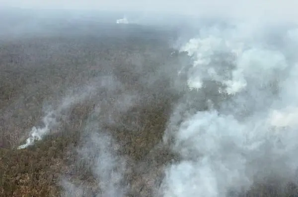 BNPB: 17.942 Hektare Karhutla Belum Padam, Kalteng Prioritas Penanganan