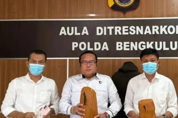 Bawa Ganja 2 Kg, Pria di Bengkulu Ditangkap Polisi