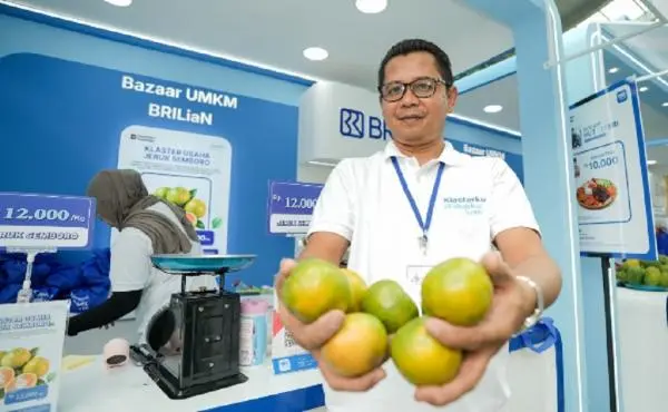 Dulu Jualan Jeruk Pakai Motor, Kini Antoni Mampu Kirim 3 Truk Sehari Berkat BRI