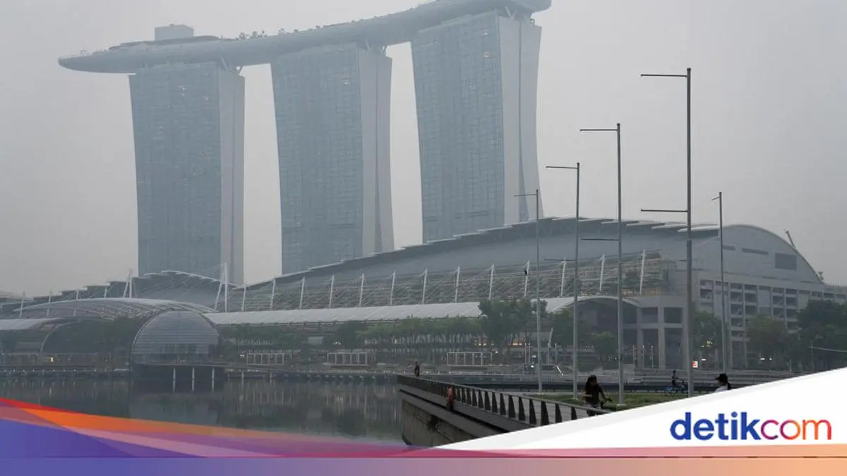 Singapura Pertimbangkan Usut Perusahaan di Balik Karhutla Pemicu Asap