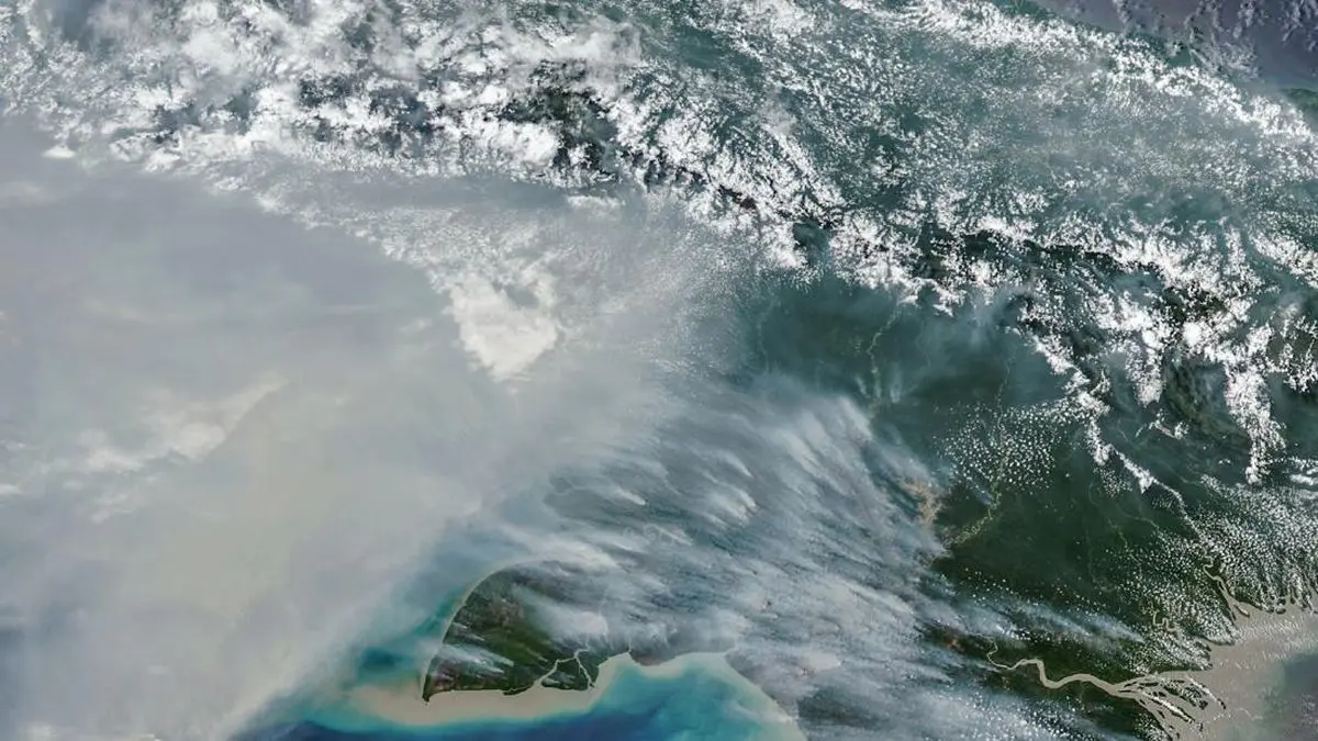 Jumlah Titik Panas Karhutla Papua Selatan Turun, Masih Ada 65 Hotspot