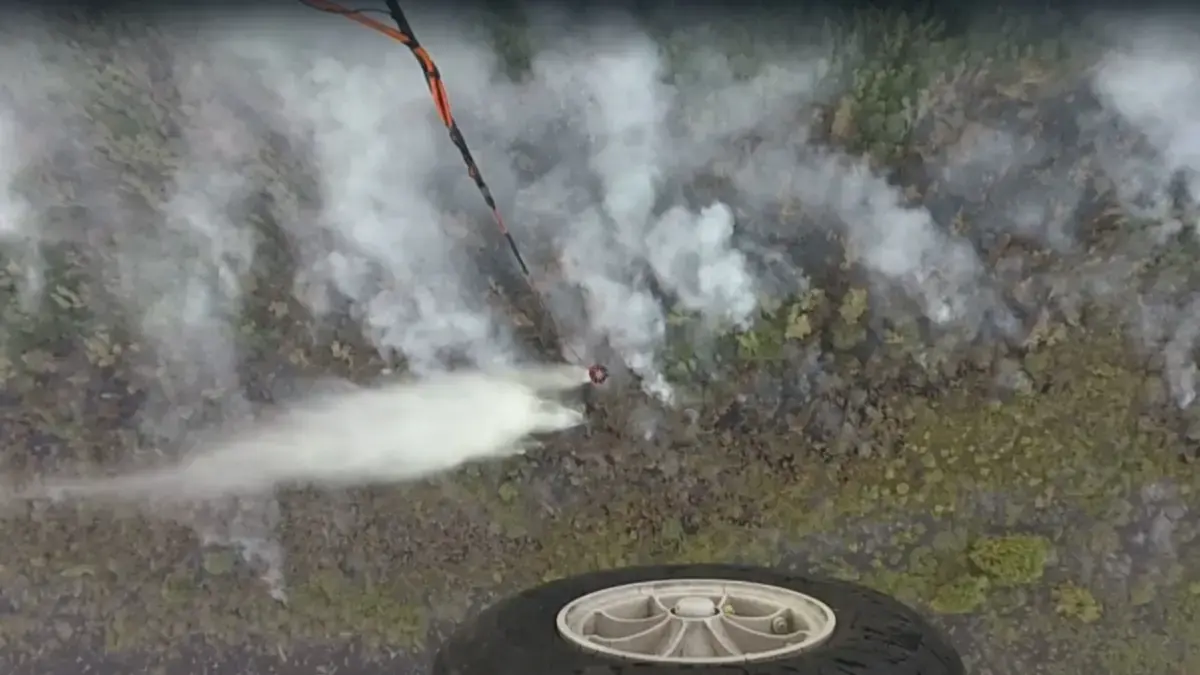 Kebakaran Hutan di Tanjung Puting Belum Padam, Intensitas Water Bombing Dinaikkan Hingga 26 Kali