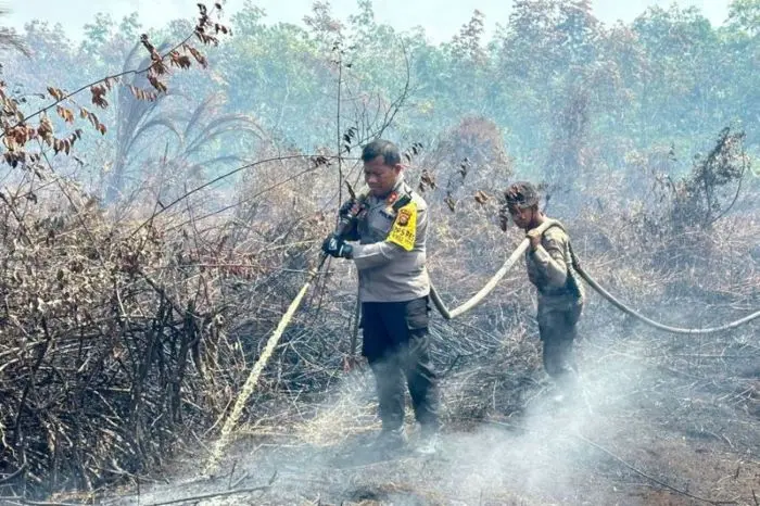 Kemenhut Bekukan 6 Perusahaan Terkait Karhutla, Puluhan Korporasi Kena Sanksi Administrasi