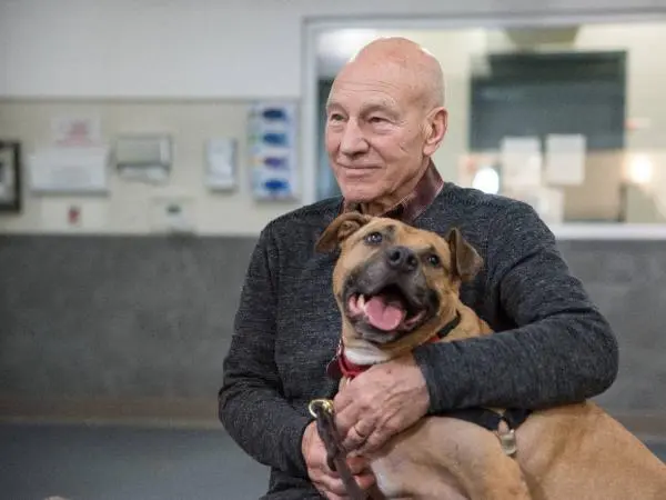 Apa Itu Demensia Lewy Body, Penyakit yang Diidap Sir Patrick Stewart sebelum Tutup Usia?