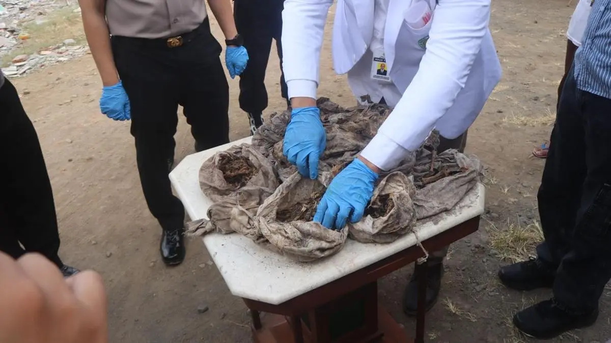Polisi Usut Geger Puluhan Pocong Kecil Isi 'Kerangka' di Magelang