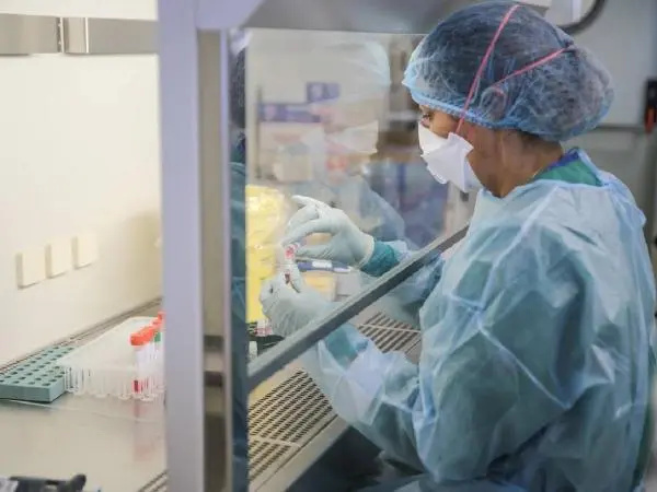 Apa Itu Virus Shamonda yang Kini Bisa Menular ke Manusia? Ini Penjelasannya!